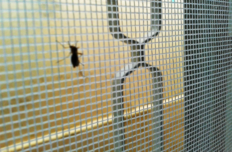 Tela Mosquiteira é barreira contra os mosquitos