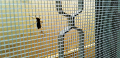 Telas Mosquiteiras